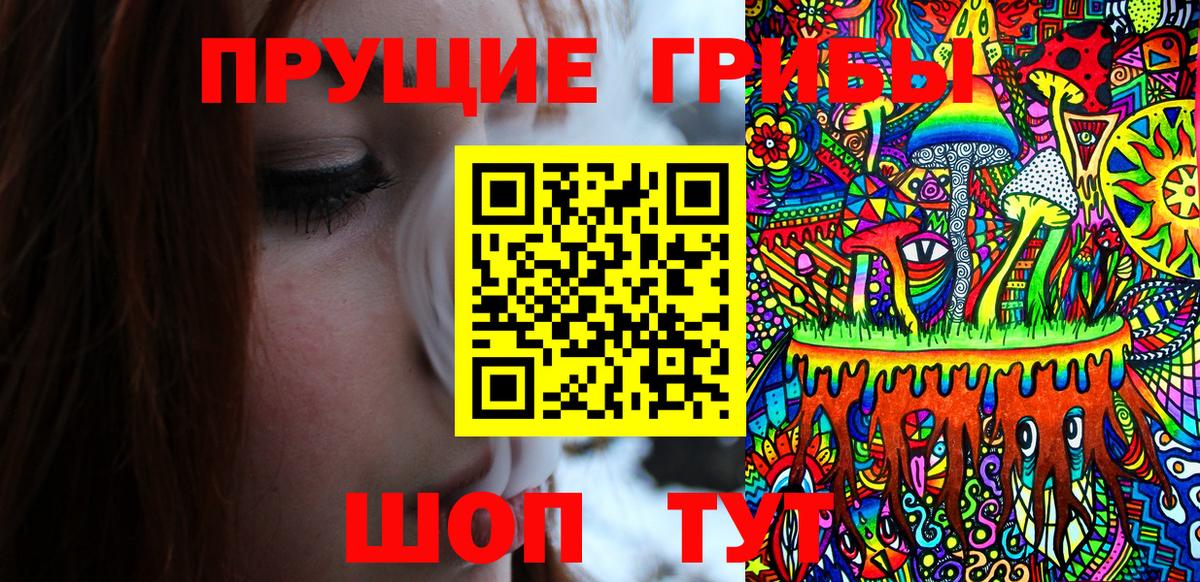Галлюциногенные грибы прущие грибы  Вход с VPN  Сегежа  Псилоцибиновые грибы мухоморы 