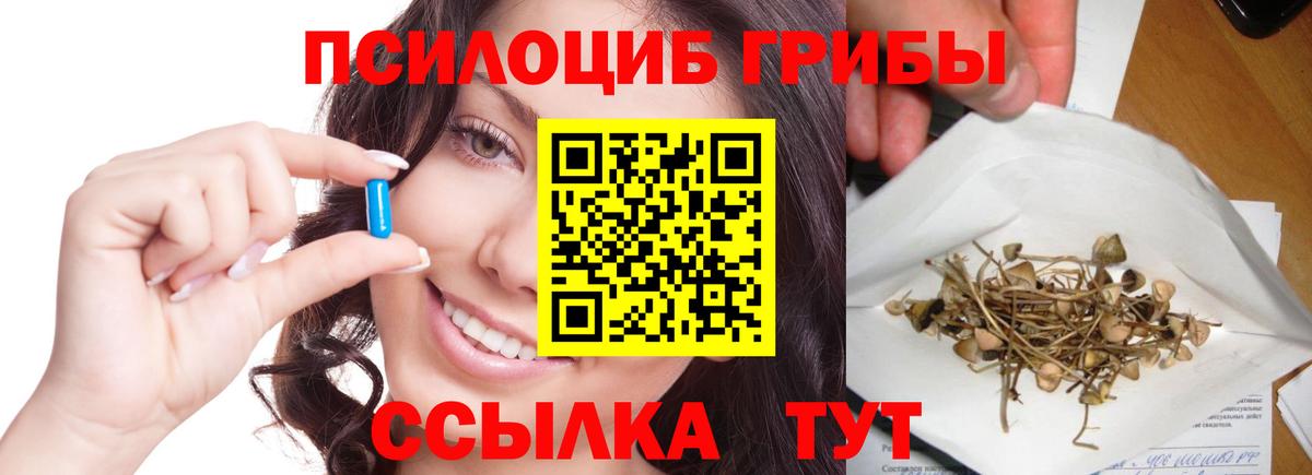 Галлюциногенные грибы MAGIC MUSHROOMS Сегежа